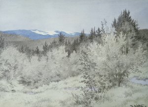 Ormanda çok uzaklarda by Theodor Kittelsen