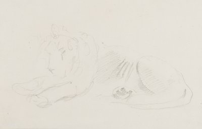 Aslan çalışması by Sawrey Gilpin
